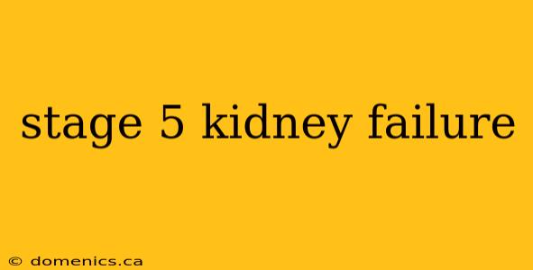 stage 5 kidney failure