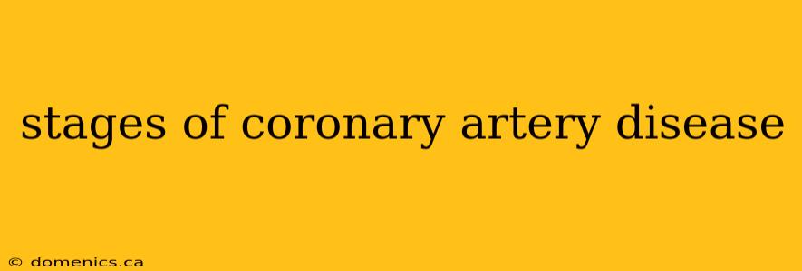 stages of coronary artery disease