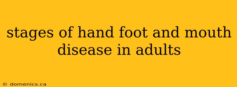 stages of hand foot and mouth disease in adults