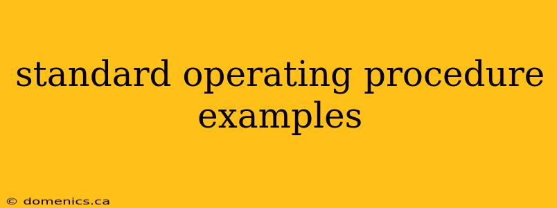 standard operating procedure examples