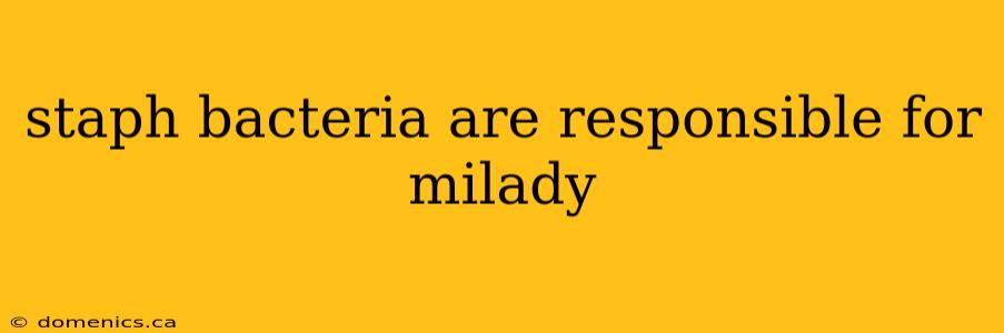 staph bacteria are responsible for milady