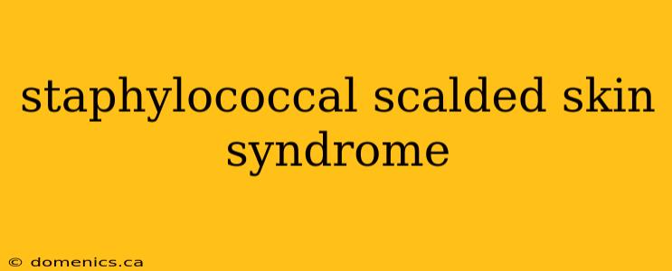 staphylococcal scalded skin syndrome