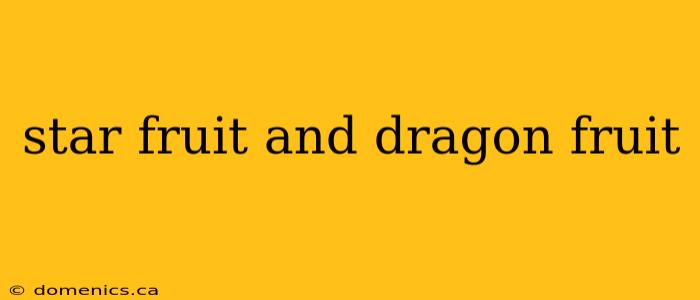 star fruit and dragon fruit
