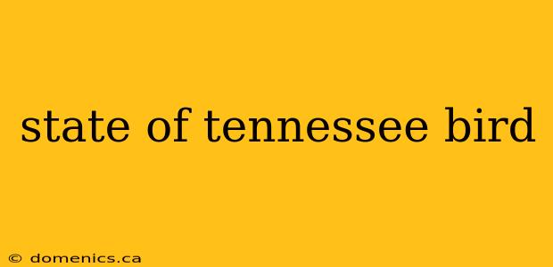 state of tennessee bird