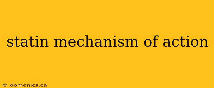 statin mechanism of action