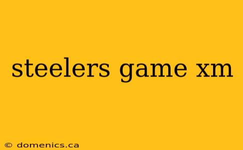 steelers game xm