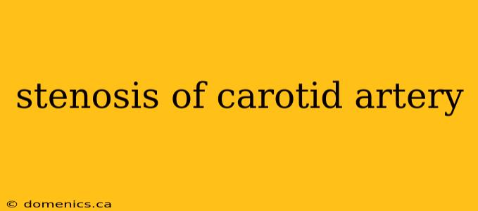 stenosis of carotid artery