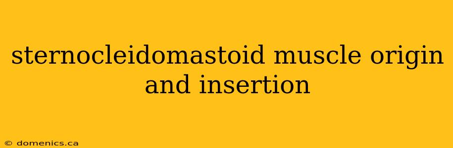 sternocleidomastoid muscle origin and insertion