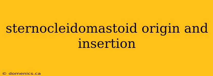 sternocleidomastoid origin and insertion