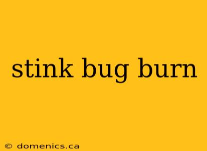 stink bug burn