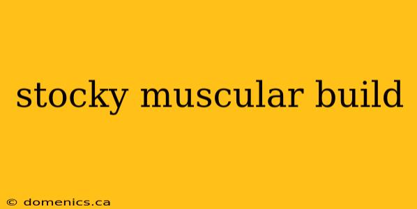 stocky muscular build