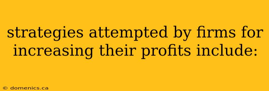 strategies attempted by firms for increasing their profits include: