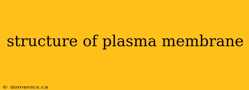 structure of plasma membrane