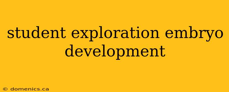 student exploration embryo development