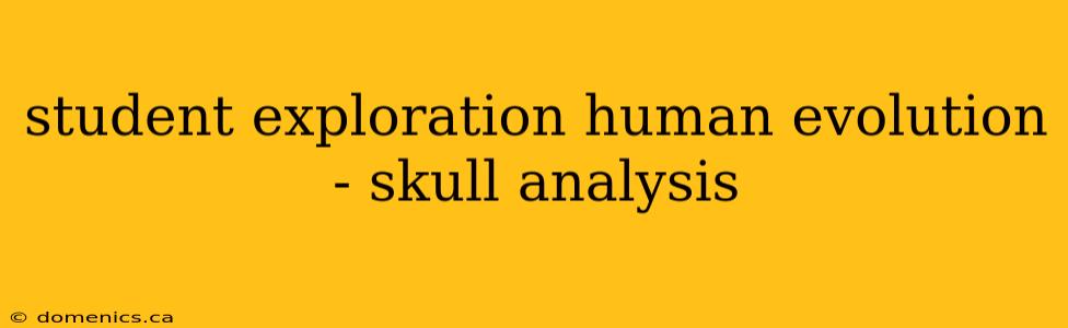 student exploration human evolution - skull analysis