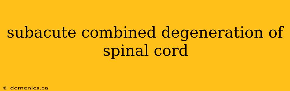 subacute combined degeneration of spinal cord