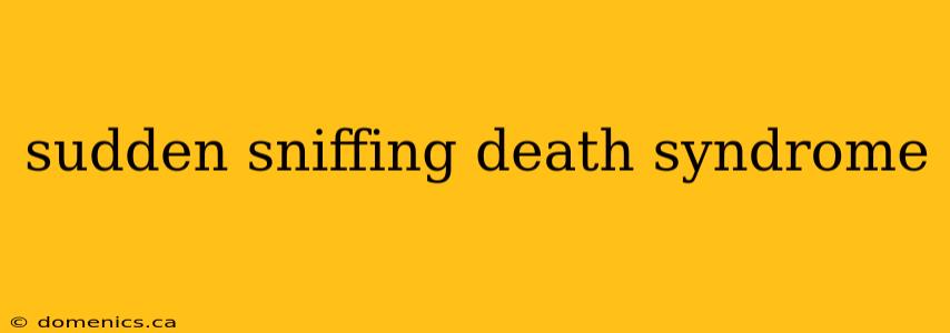 sudden sniffing death syndrome