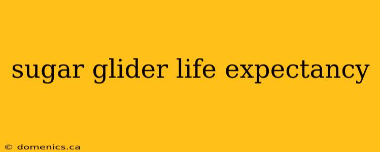 sugar glider life expectancy