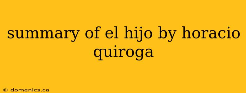 summary of el hijo by horacio quiroga