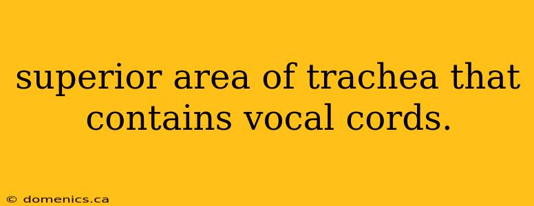 superior area of trachea that contains vocal cords.