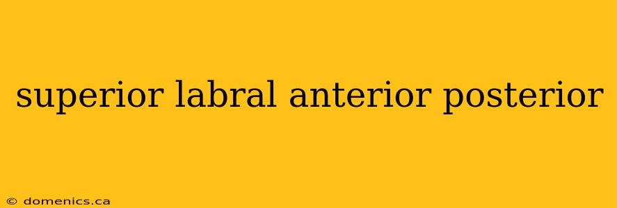 superior labral anterior posterior