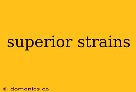 superior strains