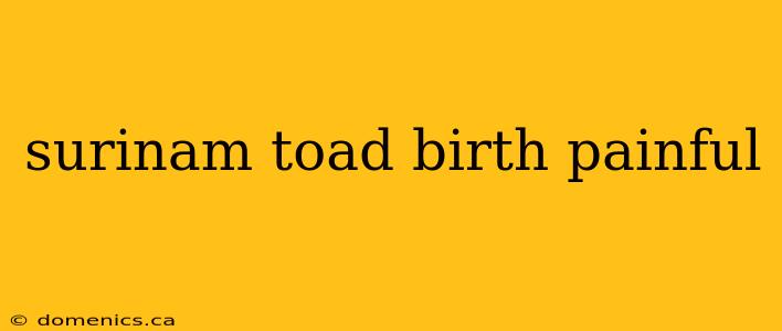 surinam toad birth painful