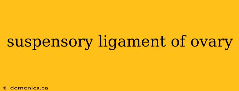 suspensory ligament of ovary