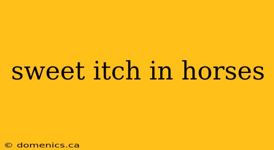 sweet itch in horses