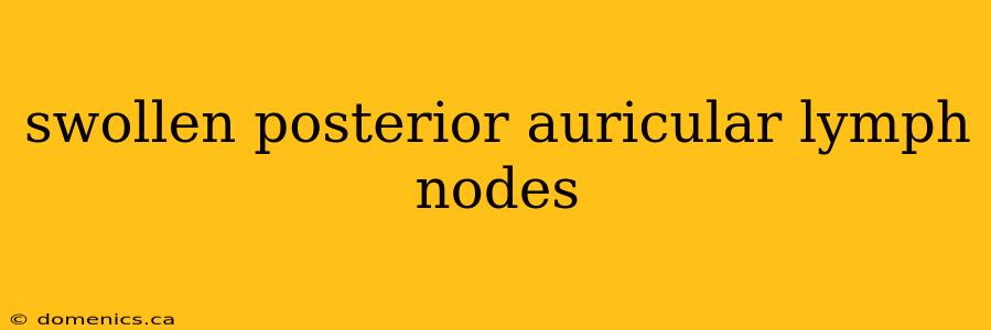 swollen posterior auricular lymph nodes