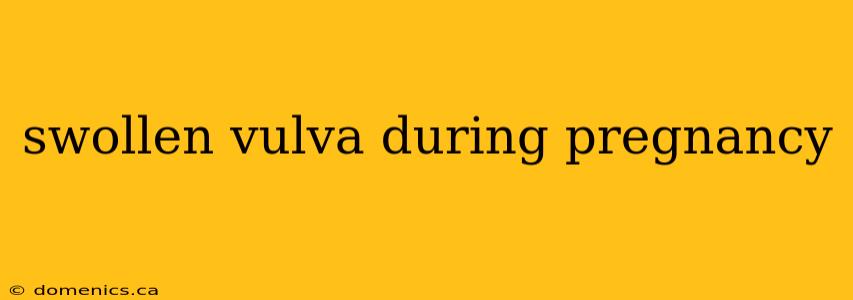 swollen vulva during pregnancy