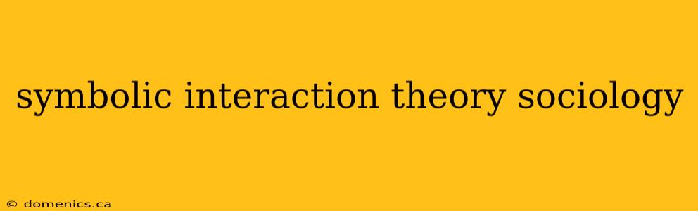 symbolic interaction theory sociology