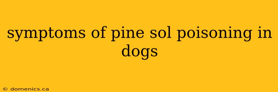 symptoms of pine sol poisoning in dogs