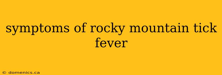 symptoms of rocky mountain tick fever