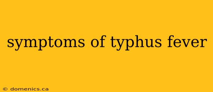 symptoms of typhus fever