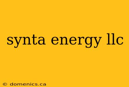 synta energy llc