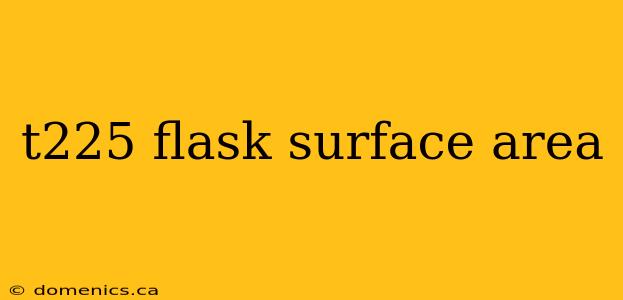 t225 flask surface area