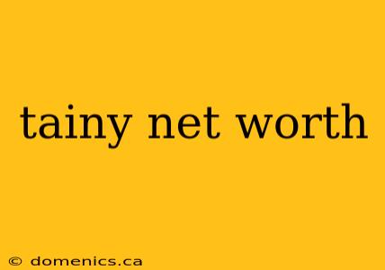 tainy net worth