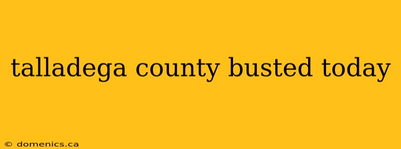 talladega county busted today