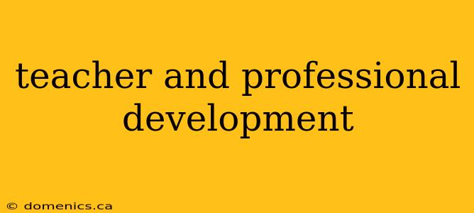 teacher and professional development