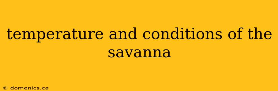 temperature and conditions of the savanna