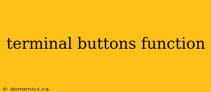 terminal buttons function