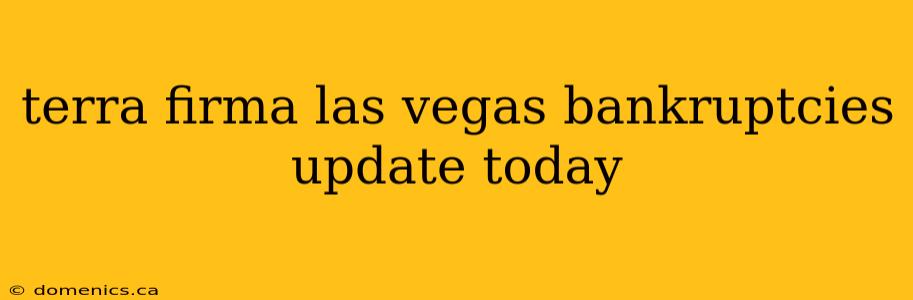 terra firma las vegas bankruptcies update today