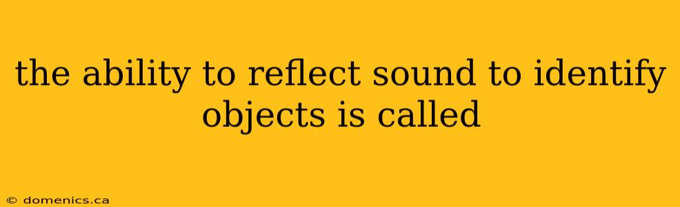 the ability to reflect sound to identify objects is called