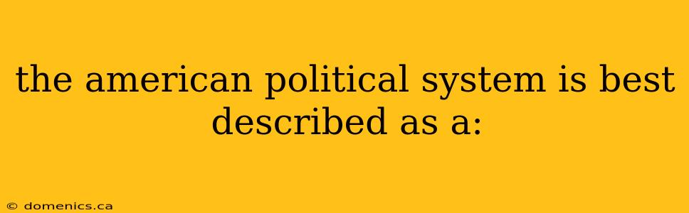 the american political system is best described as a: