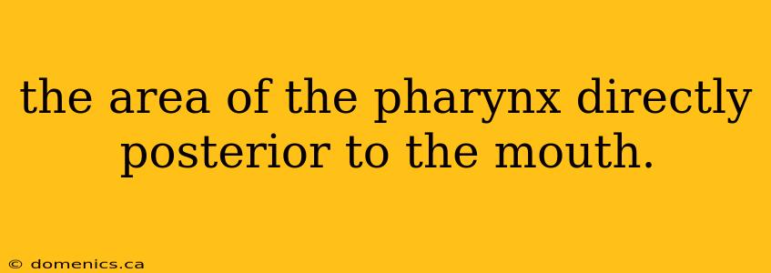 the area of the pharynx directly posterior to the mouth.