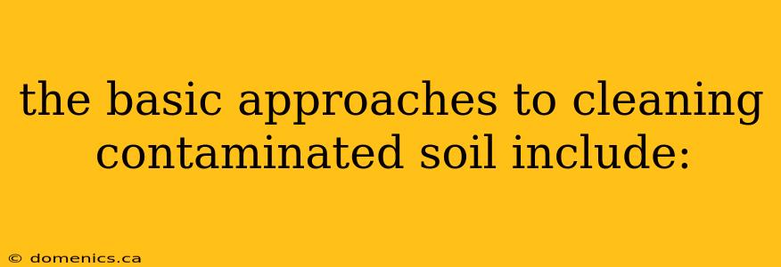 the basic approaches to cleaning contaminated soil include: