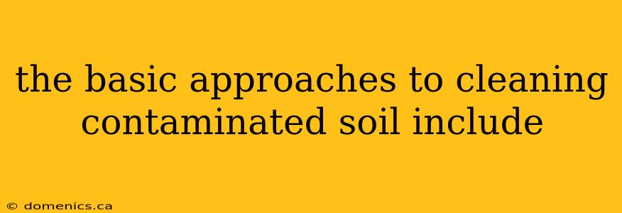 the basic approaches to cleaning contaminated soil include