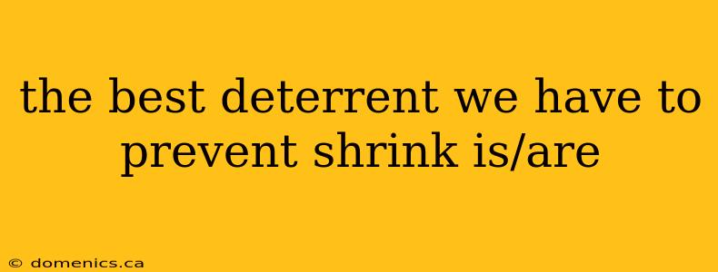 the best deterrent we have to prevent shrink is/are