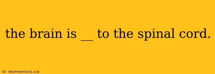 the brain is __ to the spinal cord.